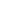 Aputure